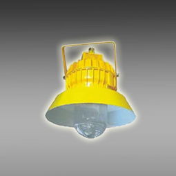 四川蛟龍照明供應(yīng)節(jié)能防爆平臺(tái)燈 價(jià)格 1500元 套